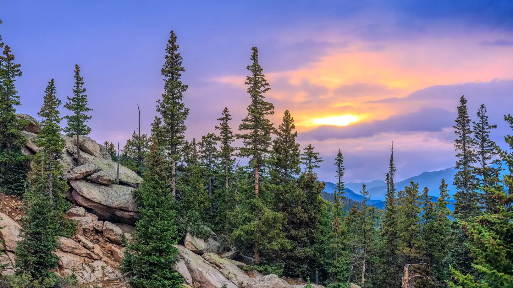 Evergreen trees on a rocky ridge under a glowing sunset near Idaho Springs, Colorado