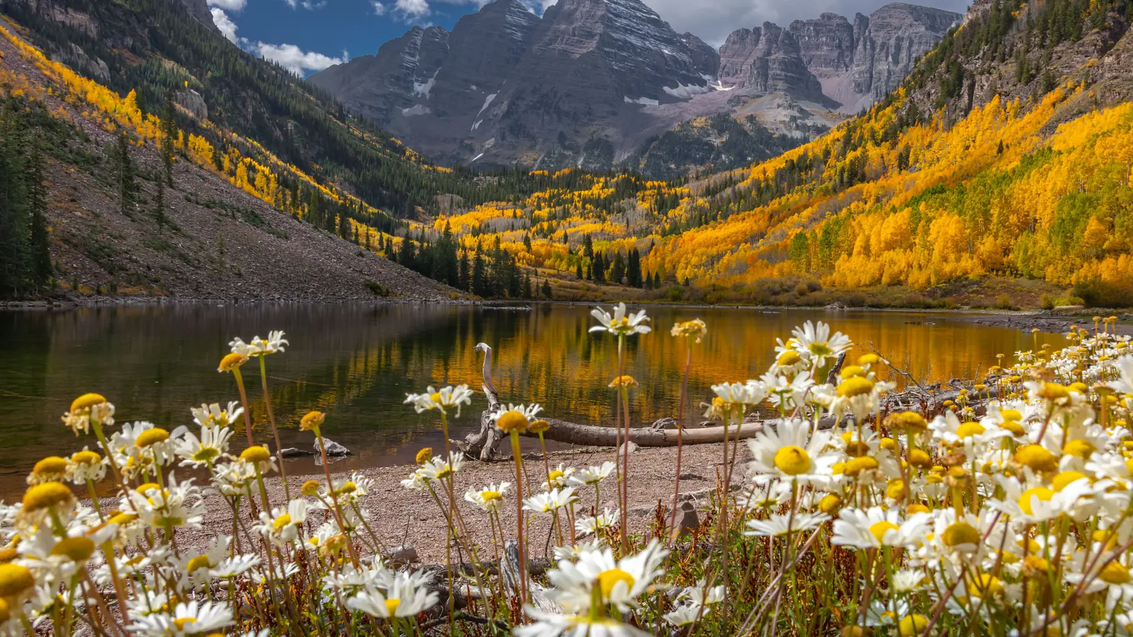 Fall wildflowers in front of the Maroon Bells reflected in Maroon Lake, Colorado