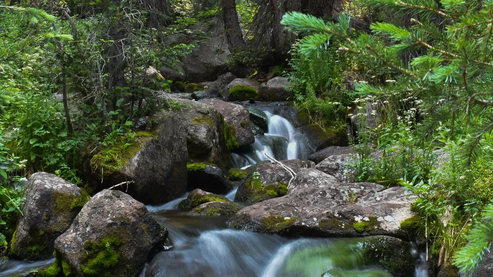 Clear mountain stream flowing over mossy rocks near Red Cliff, Colorado