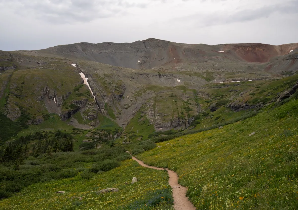 Narrow hiking trail winding through a green mountain meadow in Colorado's San Juan National Forest